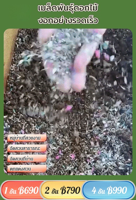 【ทุ่งดอกไม้สีสันหลากสี】เมล็ดพันธุ์ดอกไม้รวม