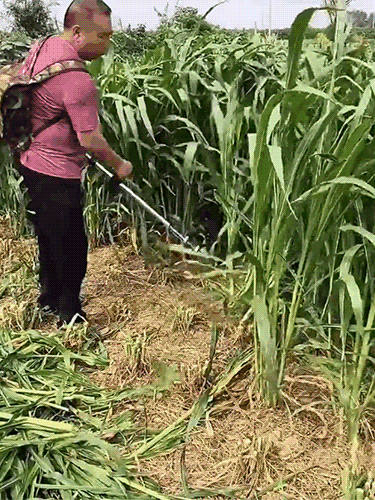 [มอเตอร์ทองแดงเต็ม] เครื่องตัดหญ้ามือถือแบบพกพา