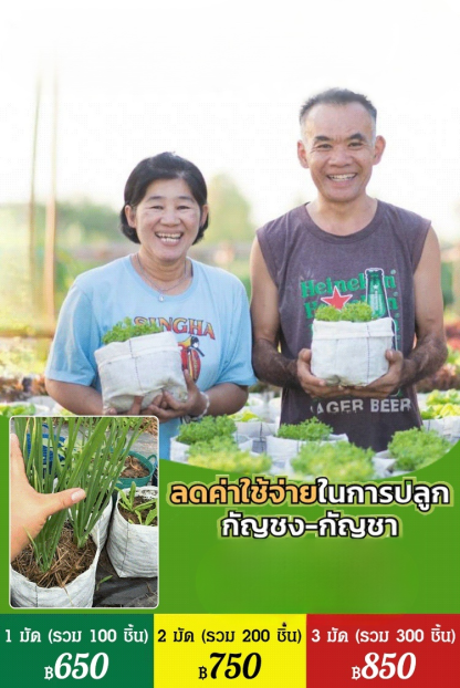 【สวรรค์แห่งการเพาะปลูก】ถุงปลูกต้นกล้าที่ย่อยสลายได้