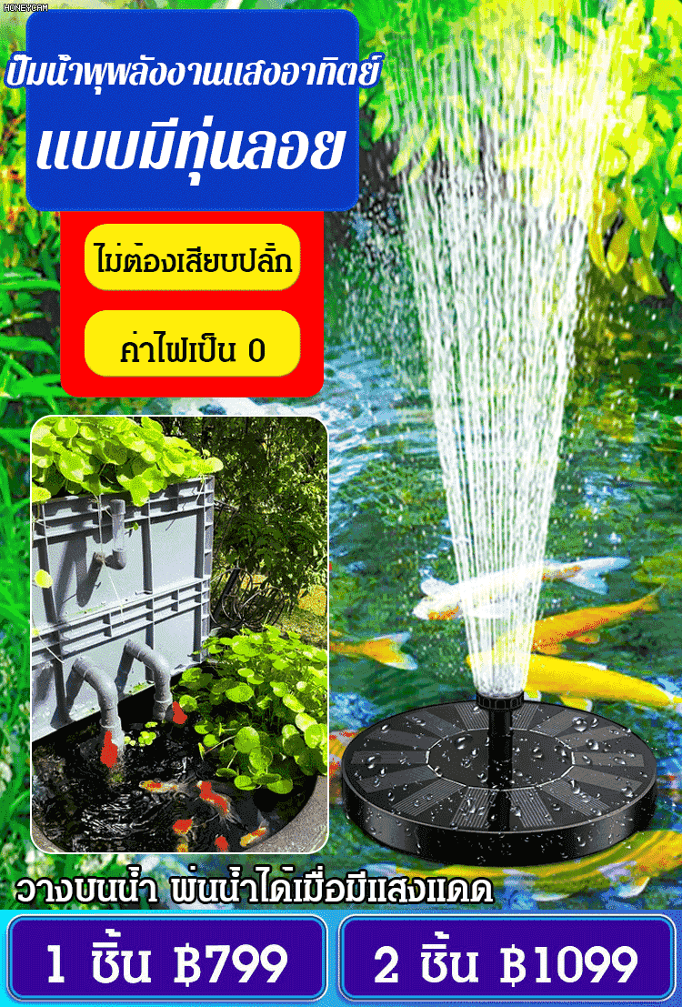 ปั๊มน้ำพุพลังงานแสงอาทิตย์ แบบมีทุ่นลอย