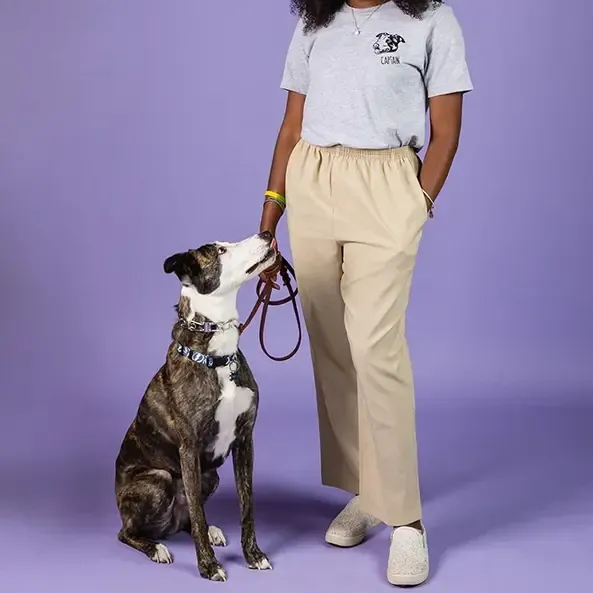 ペットの写真をプリントしたカスタムTシャツ、スウェットシャツ、パーカー