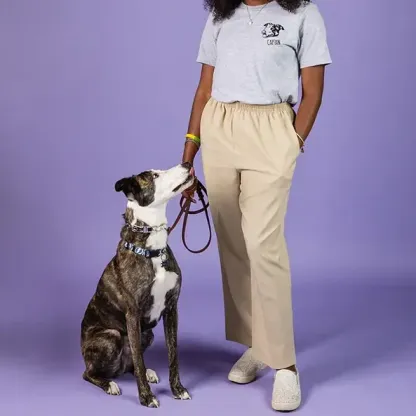 ペットの写真をプリントしたカスタムTシャツ、スウェットシャツ、パーカー