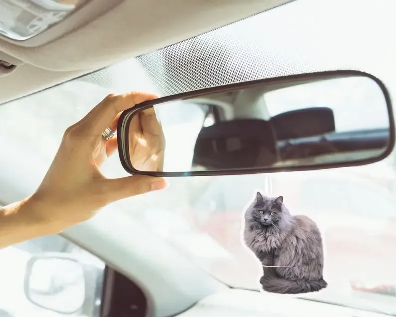 ペットカスタム空気清浄剤|カスタム清浄剤|写真空気清浄剤ペットファンのプレゼント| |持久の香り