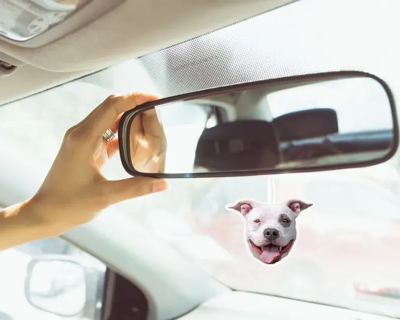 ペットカスタム空気清浄剤|カスタム清浄剤|写真空気清浄剤ペットファンのプレゼント| |持久の香り