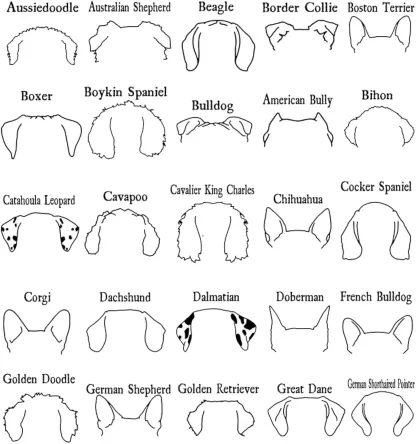 カスタムペットの耳パターンのニットブランケット