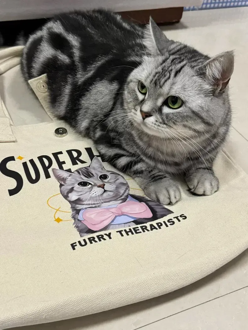 カスタマイズされたペットパターンのトートバッグキャンバスバッグ