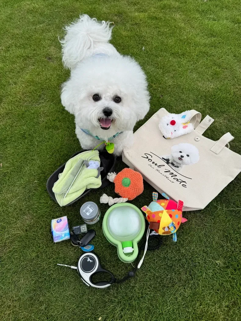 カスタマイズされたペットパターンのトートバッグキャンバスバッグ