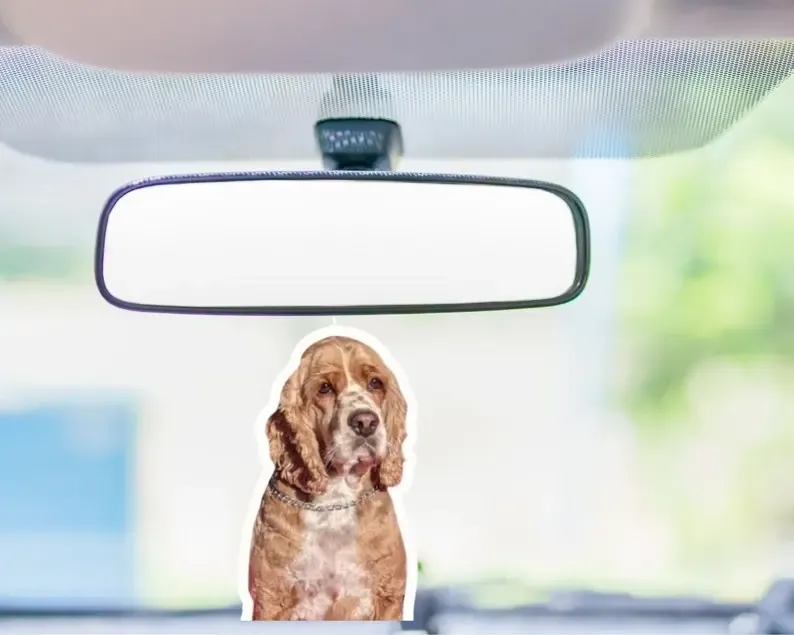 ペットカスタム空気清浄剤|カスタム清浄剤|写真空気清浄剤ペットファンのプレゼント| |持久の香り