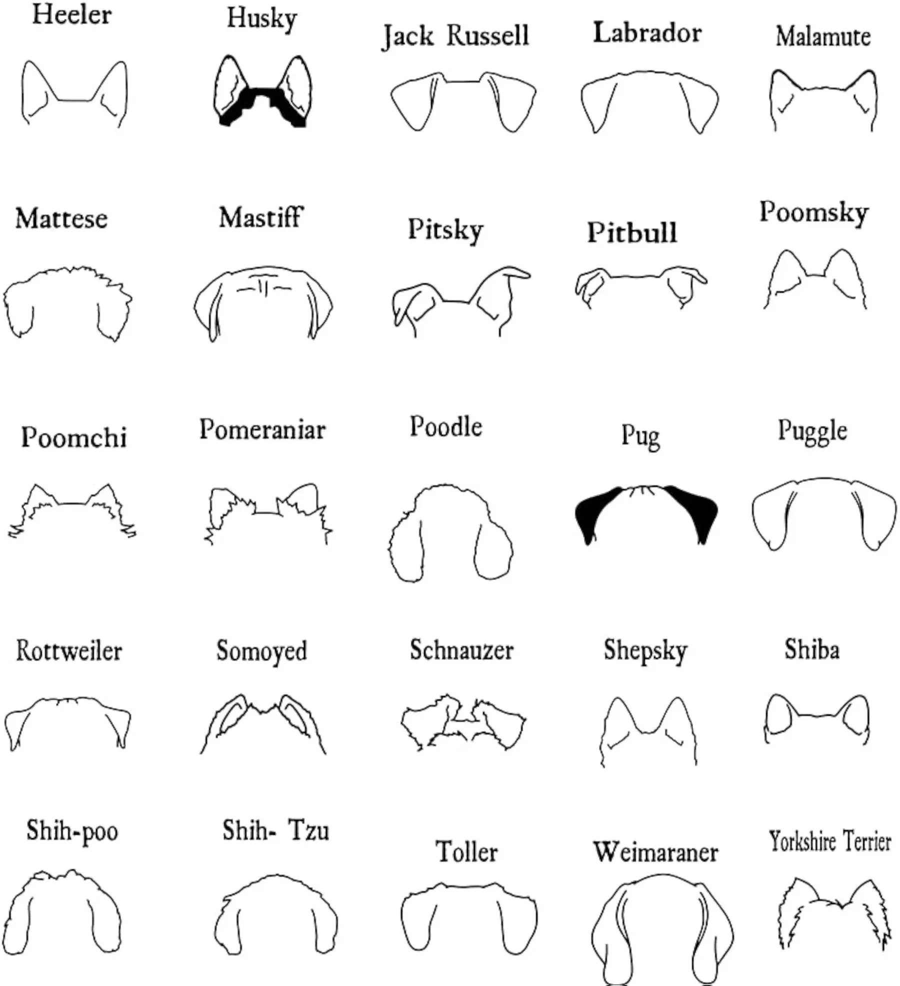 カスタムペットの耳パターンのニットブランケット