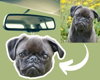 ペットカスタム空気清浄剤|カスタム清浄剤|写真空気清浄剤ペットファンのプレゼント| |持久の香り