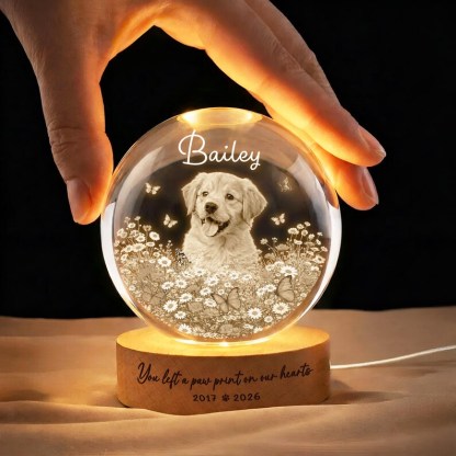 🐕 ペット写真入りメモリアルクリスタルボール – 天使への想いギフト ✨