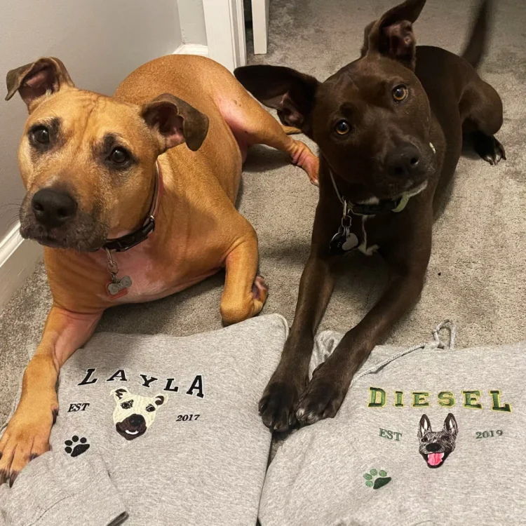 🔥Hot Sale🔥漫画風ペットの肖像画が入ったカスタム刺繍スウェットシャツ