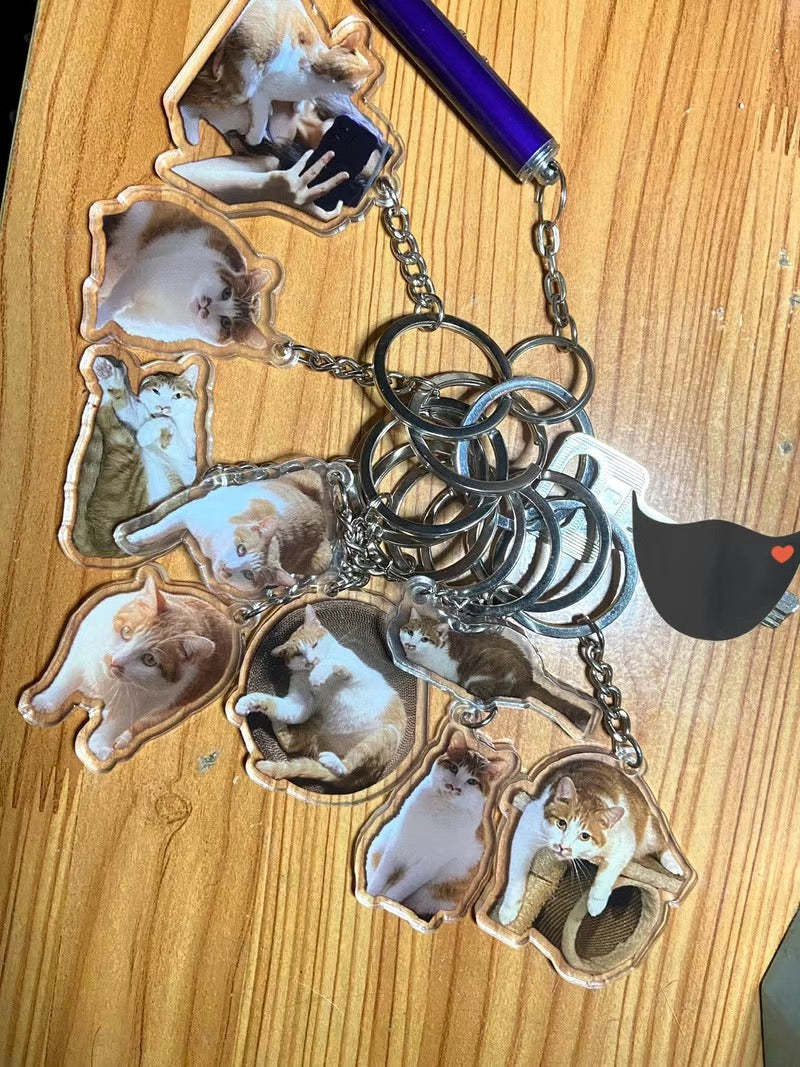 カスタマイズされたペットの写真アクリルキーホルダー-welikecustom-MJ