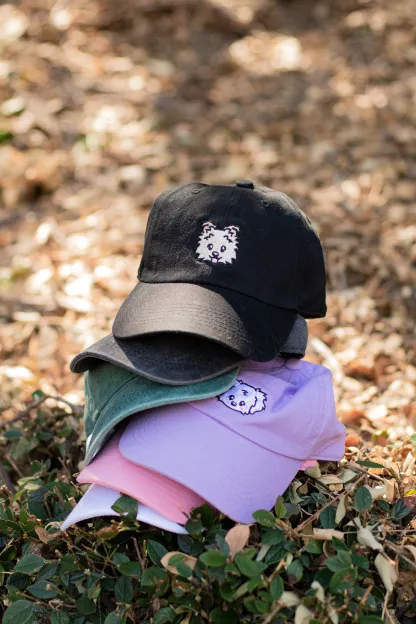 刺繡漫画ペットの似顔絵野球帽を註文-welikecustom-MJ