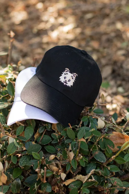 刺繡漫画ペットの似顔絵野球帽を註文-welikecustom-MJ