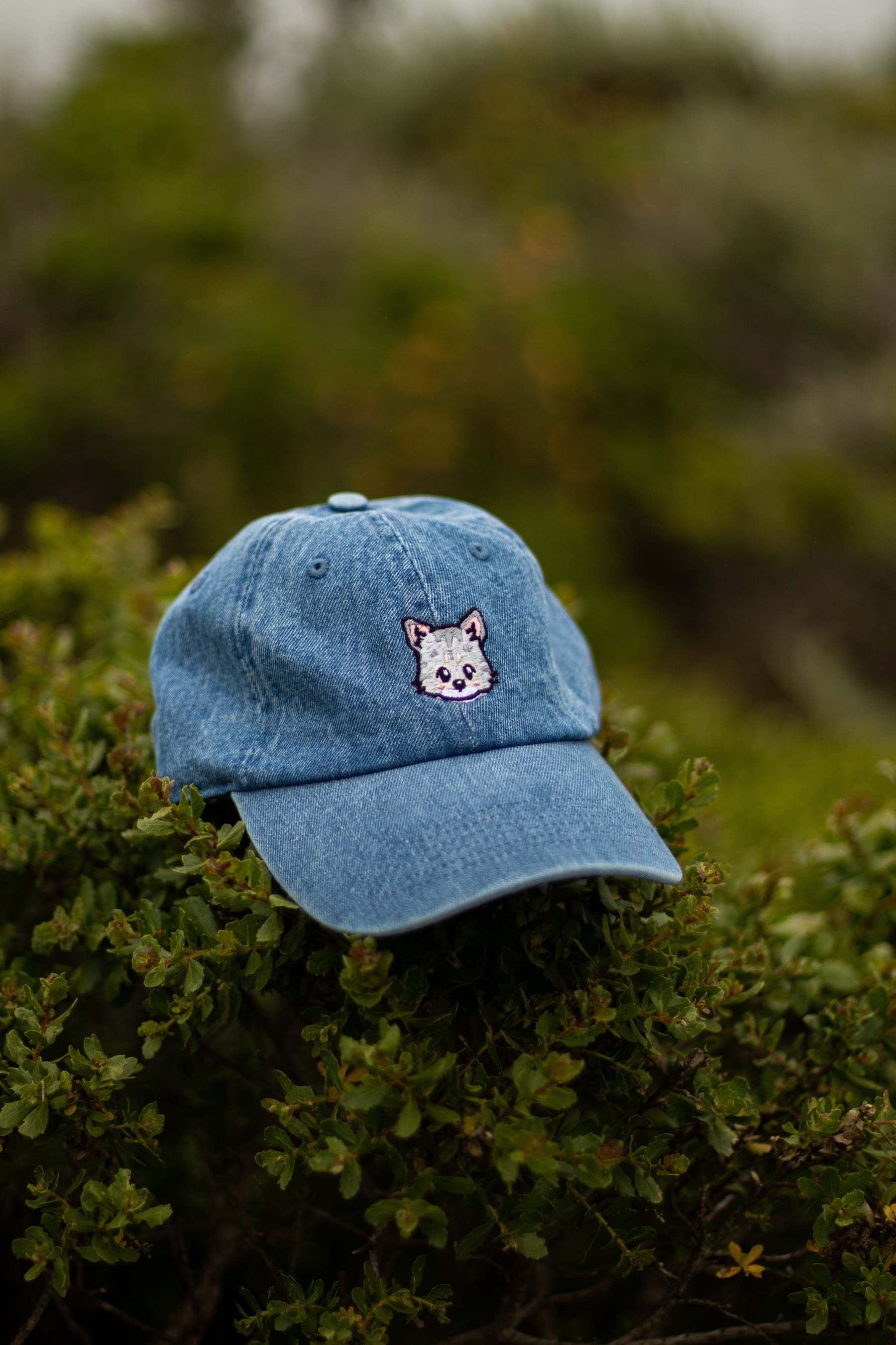 刺繡漫画ペットの似顔絵野球帽を註文-welikecustom-MJ