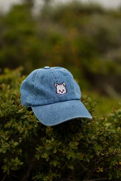 刺繡漫画ペットの似顔絵野球帽を註文-welikecustom-MJ