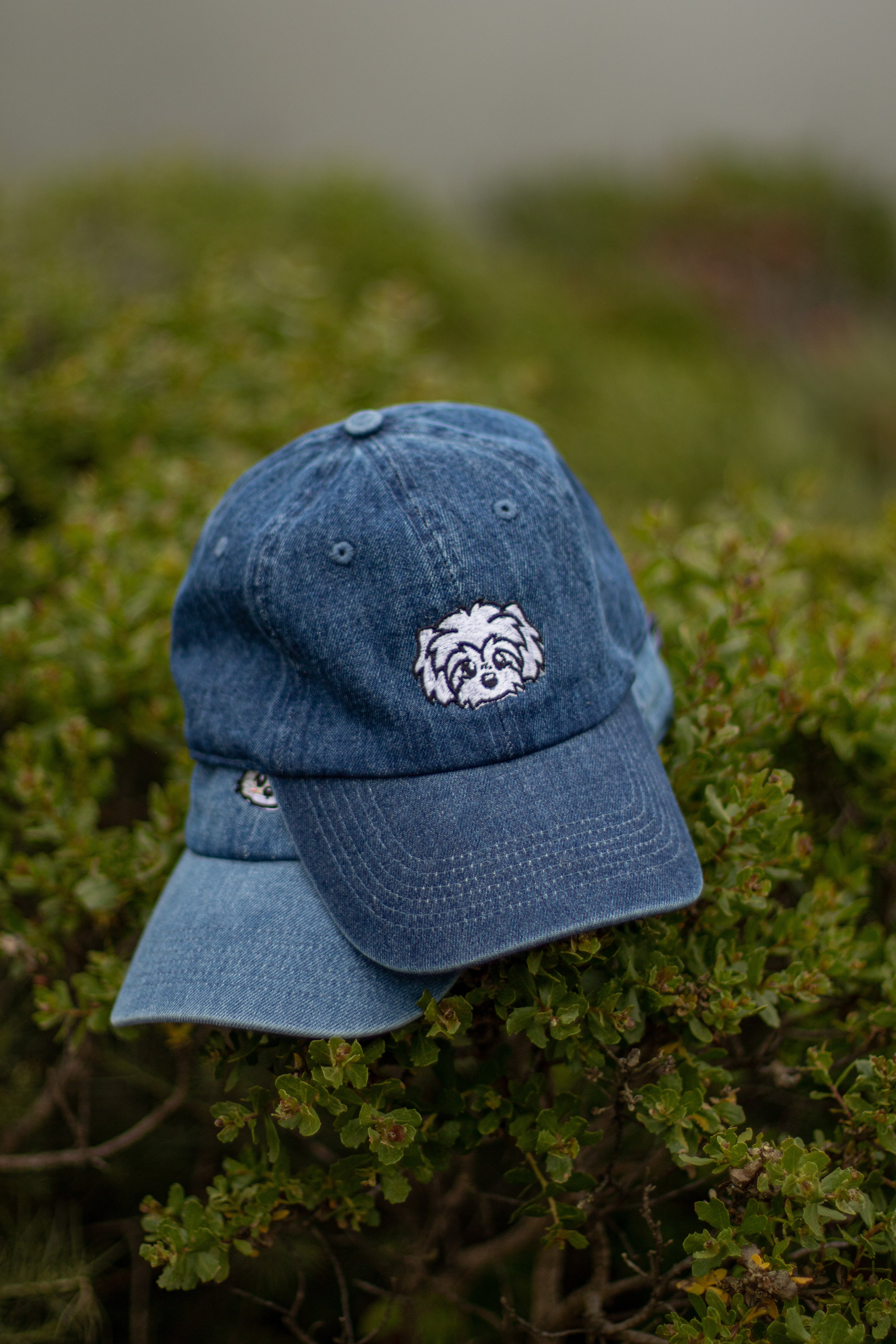 刺繡漫画ペットの似顔絵野球帽を註文-welikecustom-MJ