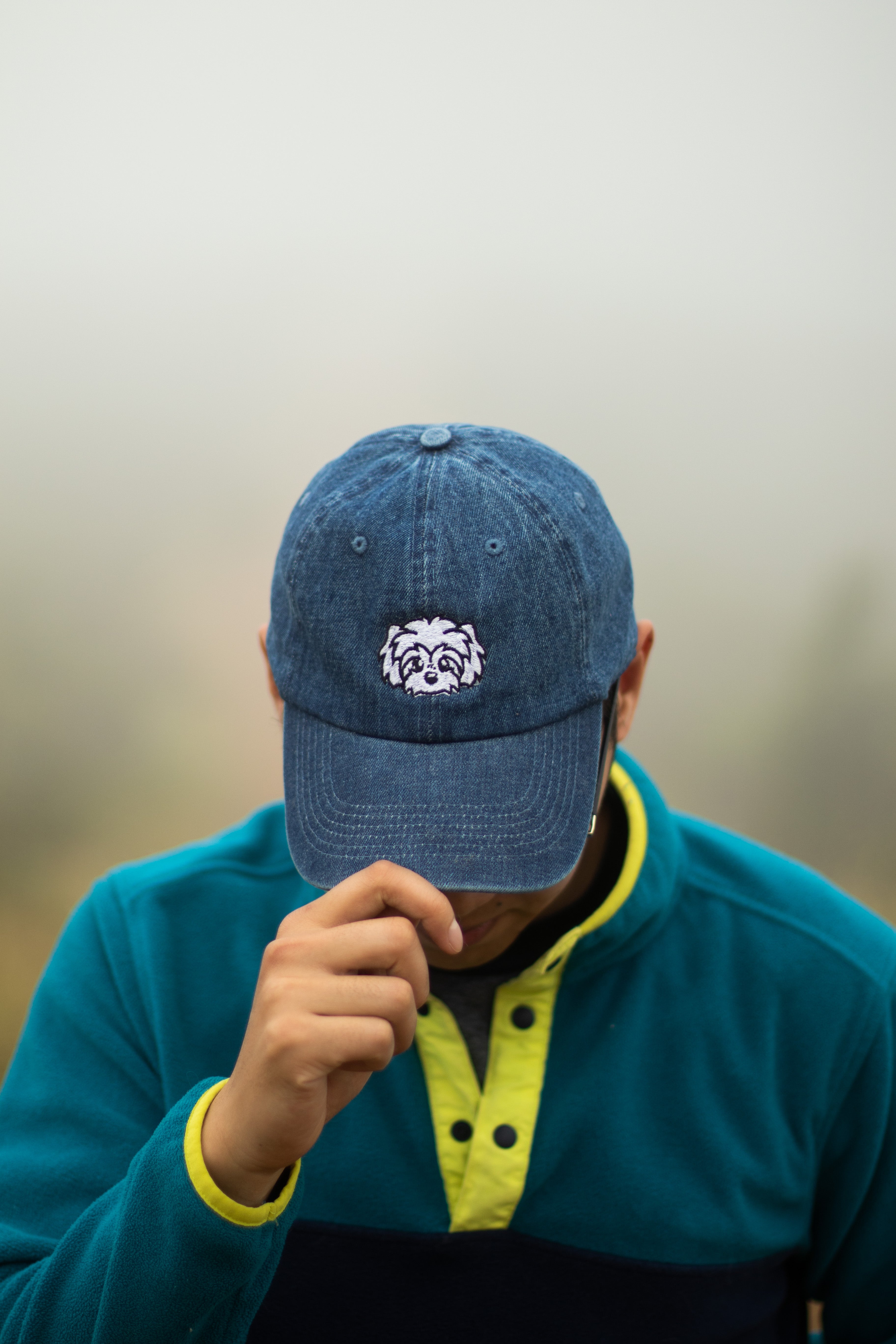 刺繡漫画ペットの似顔絵野球帽を註文-welikecustom-MJ