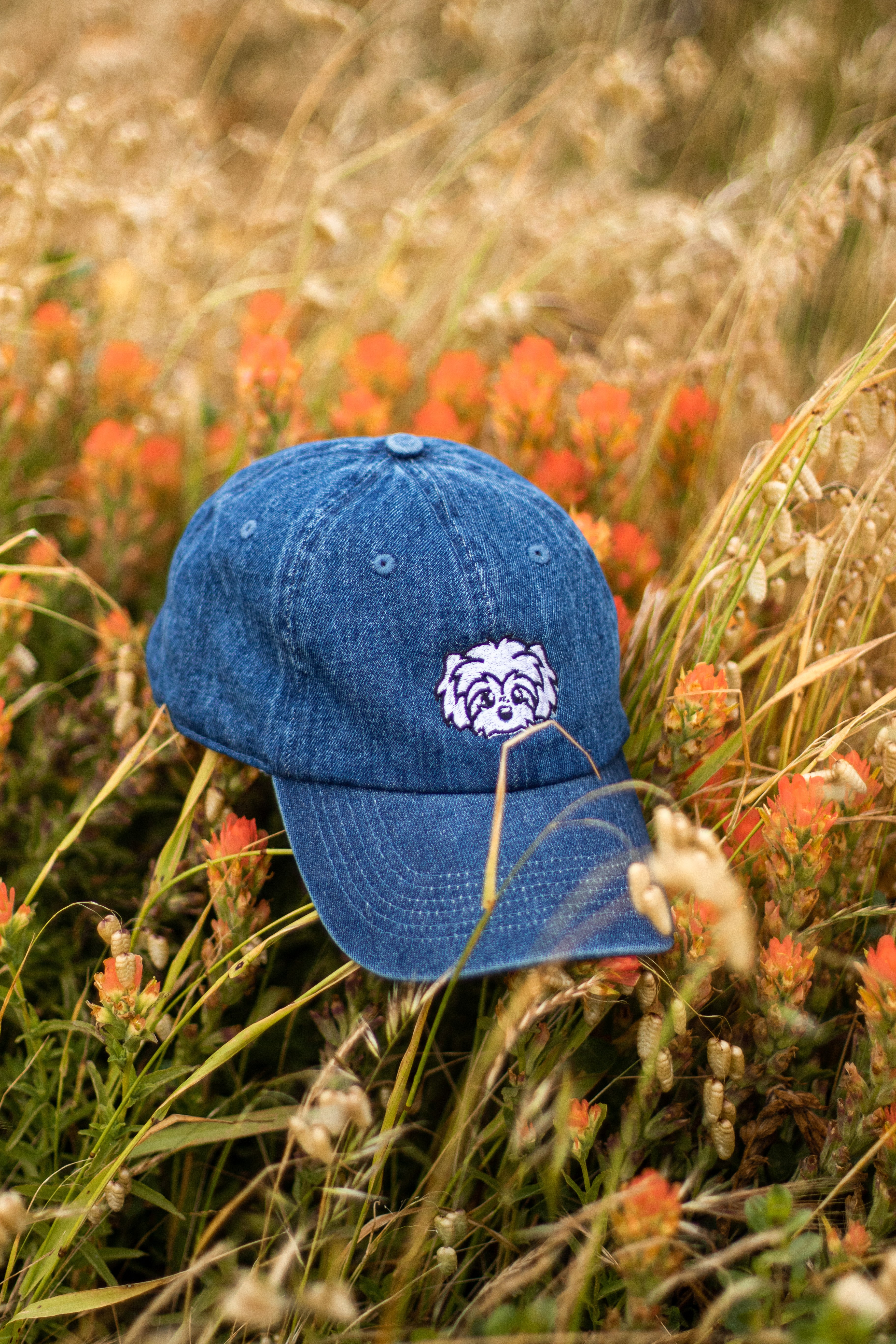 刺繡漫画ペットの似顔絵野球帽を註文-welikecustom-MJ