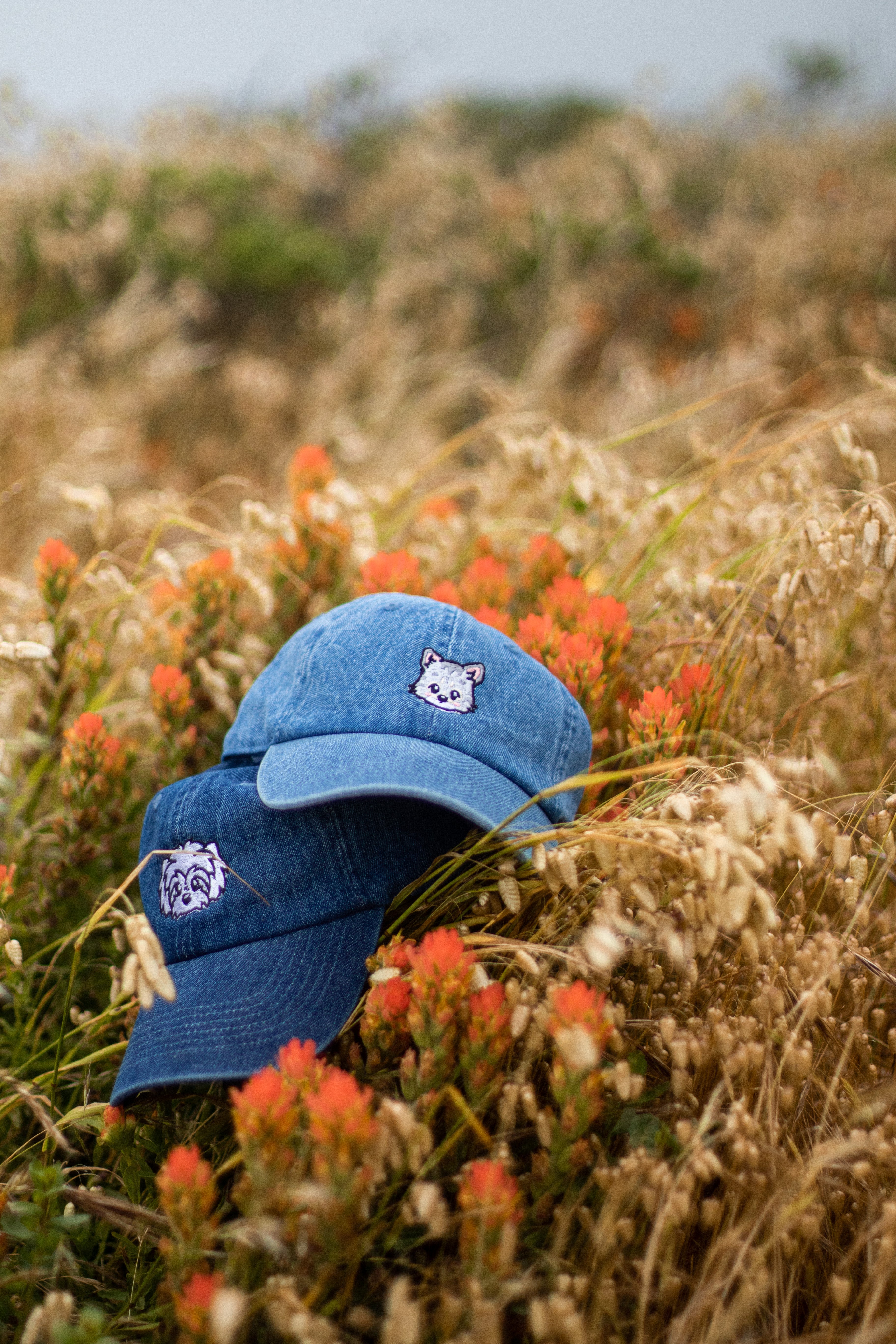 刺繡漫画ペットの似顔絵野球帽を註文-welikecustom-MJ