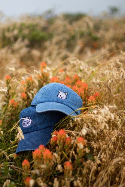 刺繡漫画ペットの似顔絵野球帽を註文-welikecustom-MJ