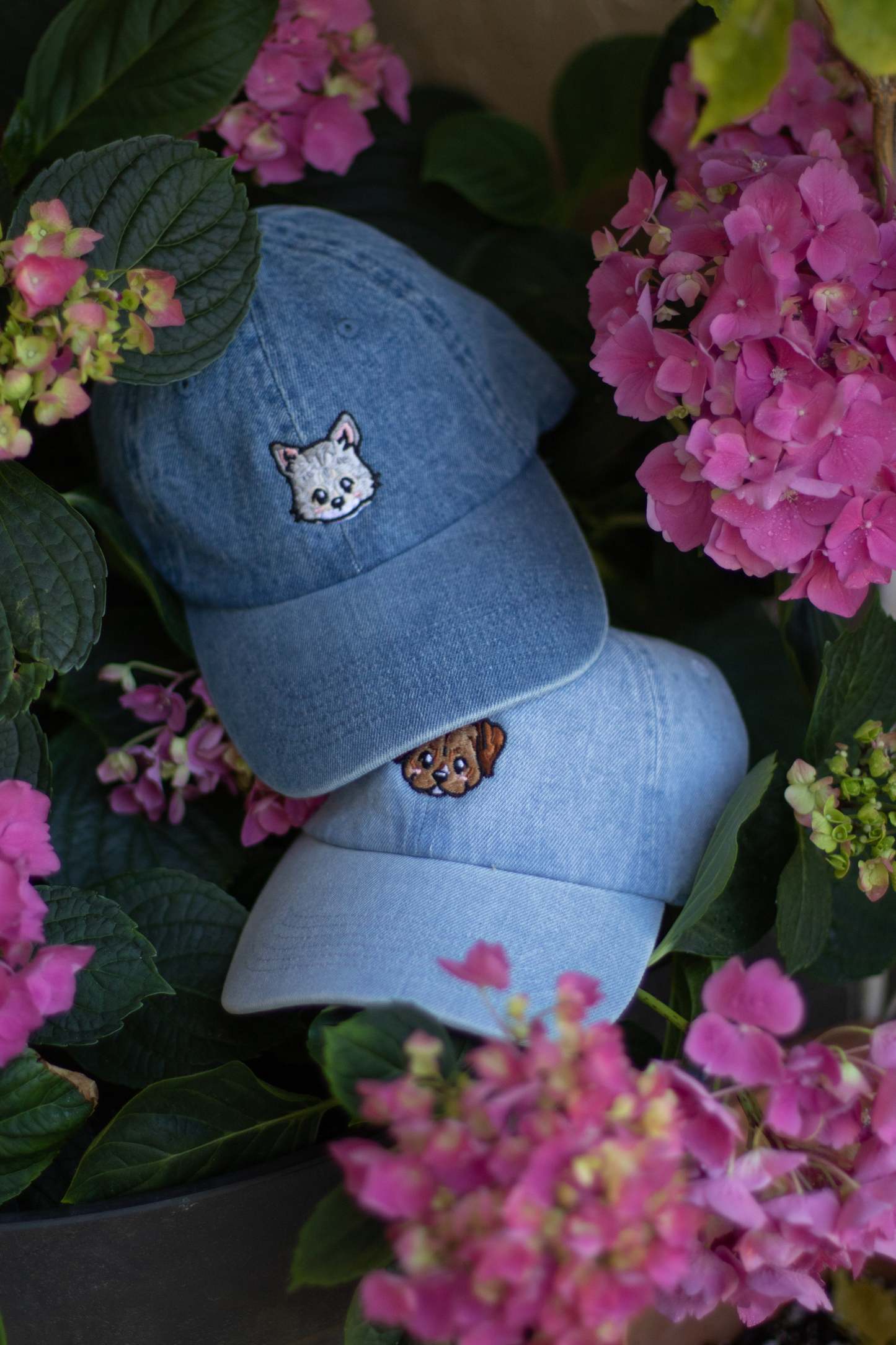 刺繡漫画ペットの似顔絵野球帽を註文-welikecustom-MJ