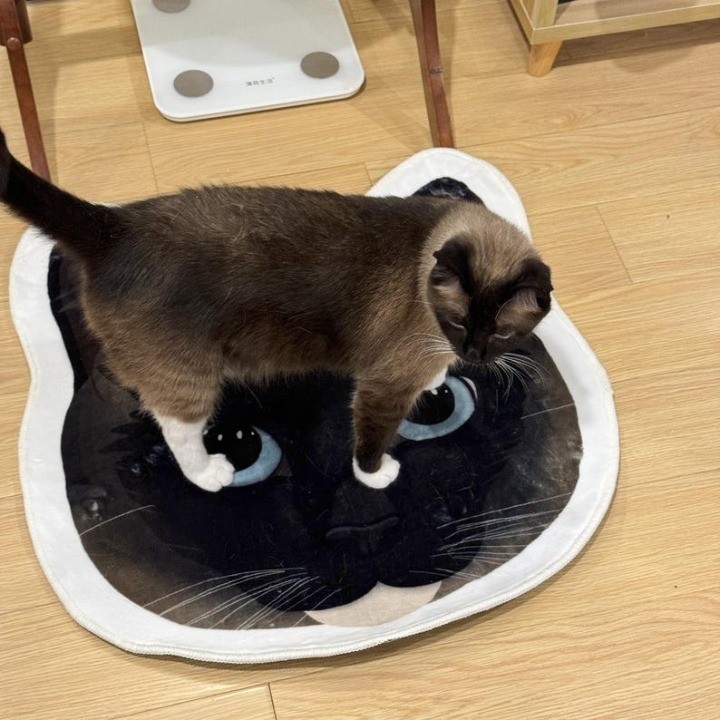 カスタマイズされたペットの肖像画の形をしたブランケット、ペット愛好家のための家具ギフト-welikecustom-MJ