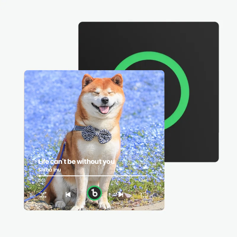 音楽再生可能 ペット写真冷蔵庫マグネットC - 毎日聴ける思い出のプレイヤー