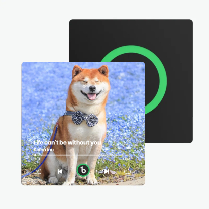 音楽再生可能 ペット写真冷蔵庫マグネットC - 毎日聴ける思い出のプレイヤー