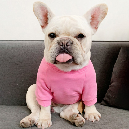 ペット愛好家と飼い主のための家族の服に合わせたパーソナライズされたペットの写真の刺繍-welikecustom-MJ