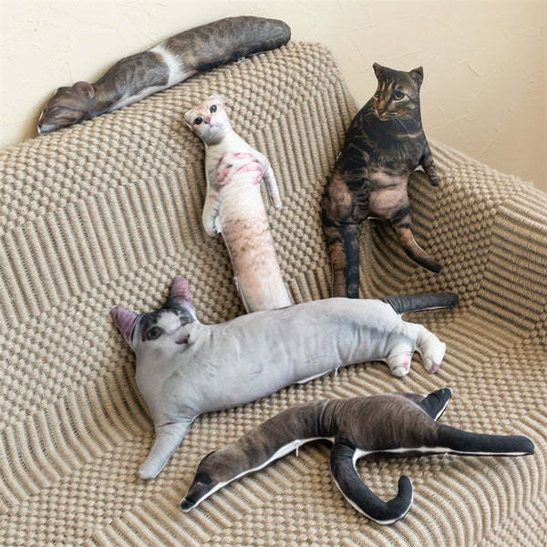 醜いペットの枕 カスタム 3D ペット肖像画 クッション-welikecustom-MJ