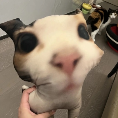 醜いペットの枕 カスタム 3D ペット肖像画 クッション-welikecustom-MJ