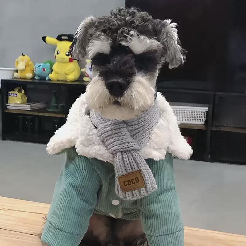 カスタマイズされたペットの名前が入ったシンプルなペットスカーフ-welikecustom-MJ