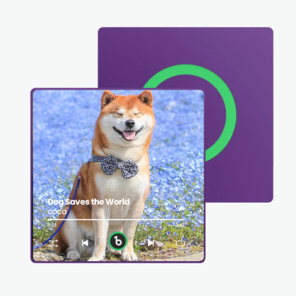 音楽再生可能 ペット写真冷蔵庫マグネットC - 毎日聴ける思い出のプレイヤー