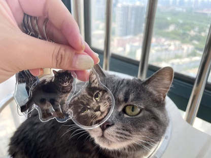 カスタマイズされたペットの写真アクリルキーホルダー-welikecustom-MJ