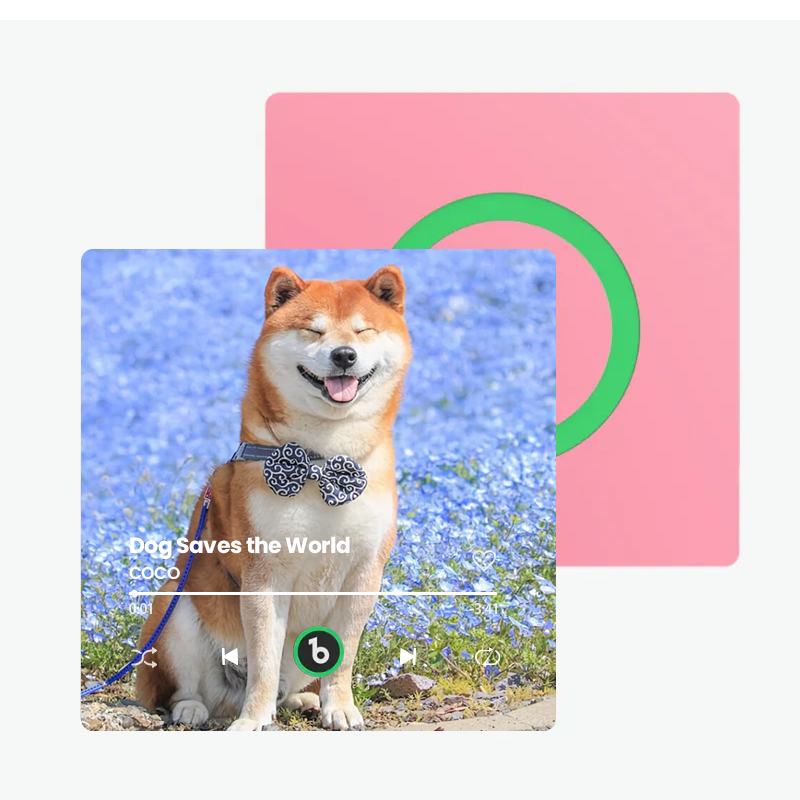 音楽再生可能 ペット写真冷蔵庫マグネットC - 毎日聴ける思い出のプレイヤー