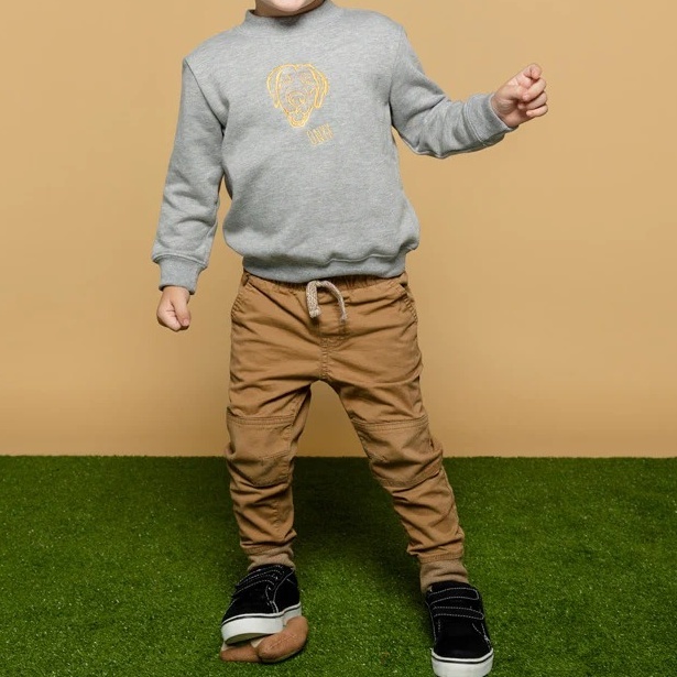 ペットの顔が刺繍された子供用スウェットシャツ、Tシャツ、パーカー-welikecustom-MJ