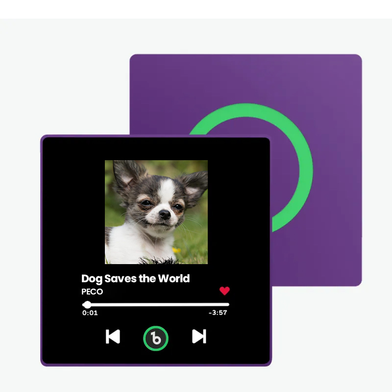 音楽再生可能 ペット写真冷蔵庫マグネットB - 毎日聴ける思い出のプレイヤー