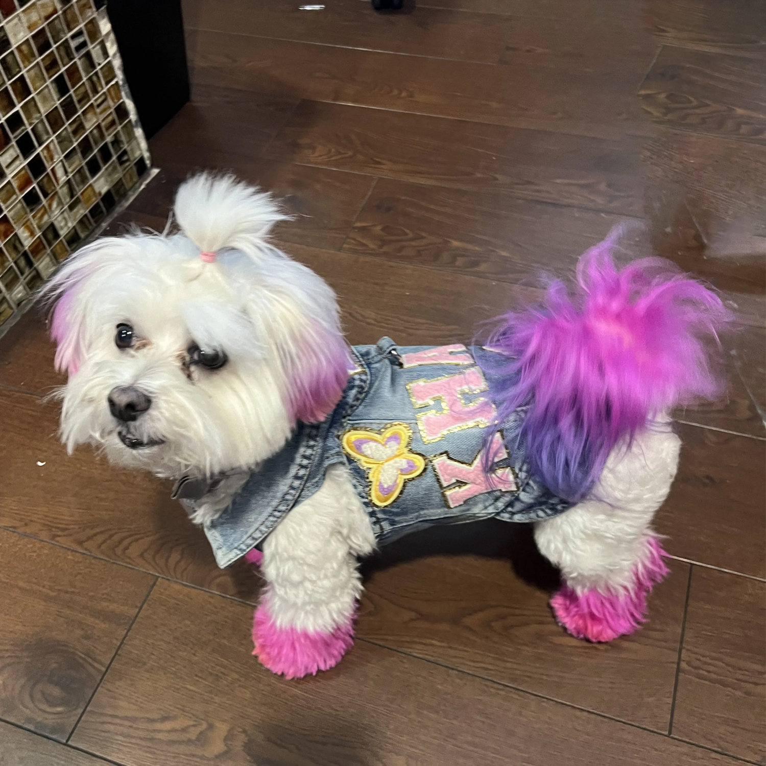 ペットの写真/名前 カスタムデニムジャケット オーダーメイド ペット愛用者向け プレゼント対応-welikecustom-MJ