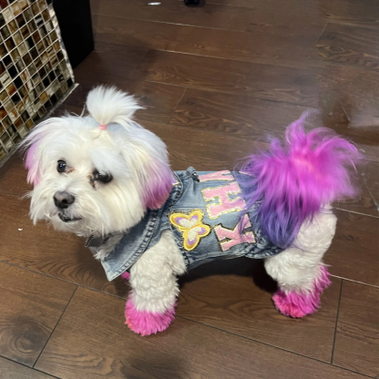 ペットの写真/名前 カスタムデニムジャケット オーダーメイド ペット愛用者向け プレゼント対応-welikecustom-MJ