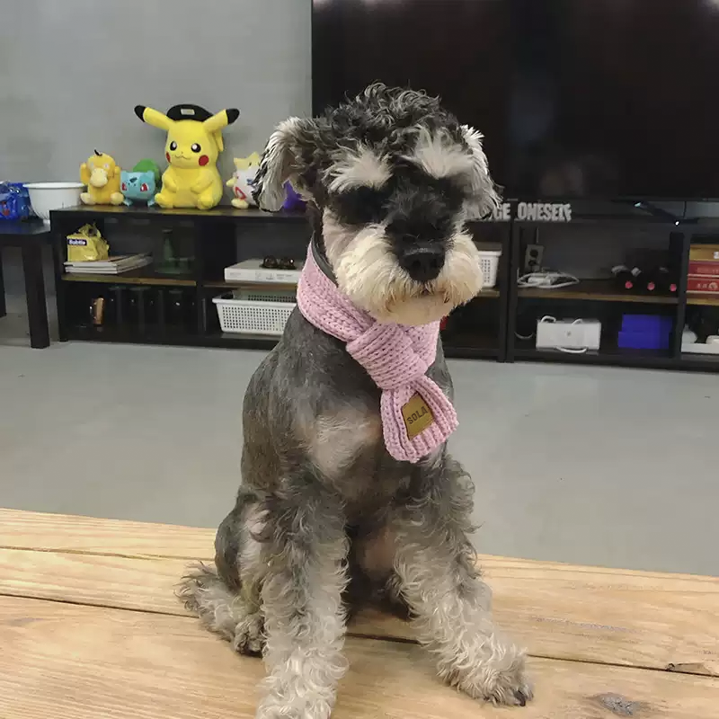 カスタマイズされたペットの名前が入ったシンプルなペットスカーフ-welikecustom-MJ