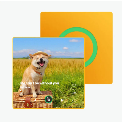 音楽再生可能 ペット写真冷蔵庫マグネットC - 毎日聴ける思い出のプレイヤー