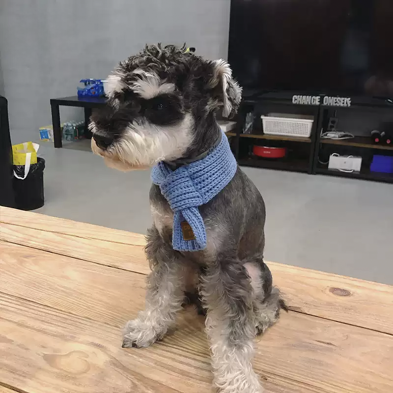 カスタマイズされたペットの名前が入ったシンプルなペットスカーフ-welikecustom-MJ