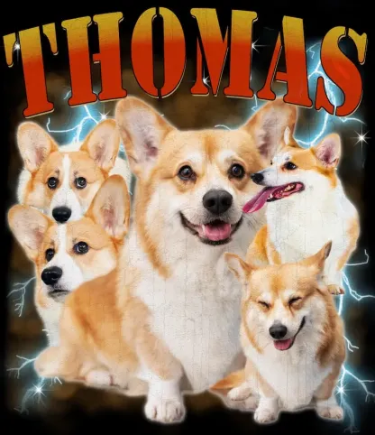 ペットの写真をプリントしたレトロなサンセットスタイルのヒップホップTシャツ、スウェットシャツ、パーカー-welikecustom-MJ