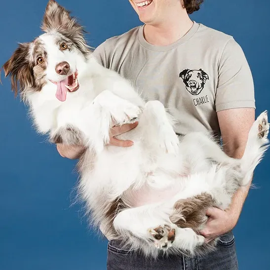 カスタム刺繍ペットフェイスパーカー、Tシャツ、スウェットシャツ-welikecustom-MJ