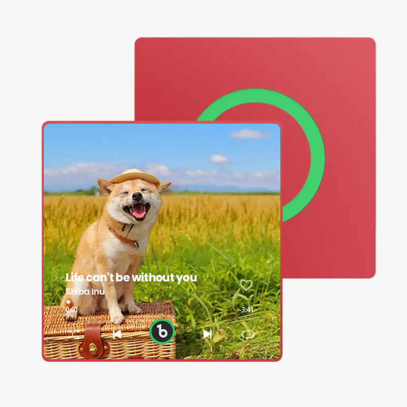音楽再生可能 ペット写真冷蔵庫マグネットC - 毎日聴ける思い出のプレイヤー