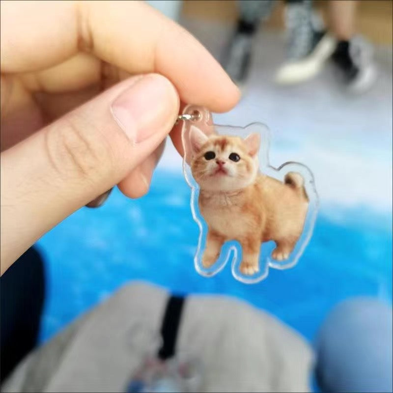 カスタマイズされたペットの写真アクリルキーホルダー-welikecustom-MJ