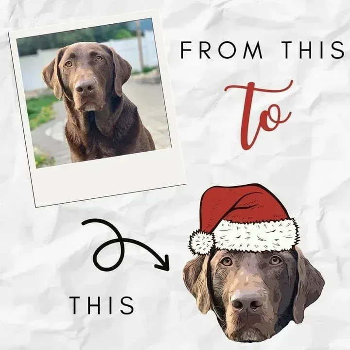 カスタム刺繍ペットポートレートクリスマスセータートレーナーパーカーTシャツクリスマスギフト-welikecustom-MJ