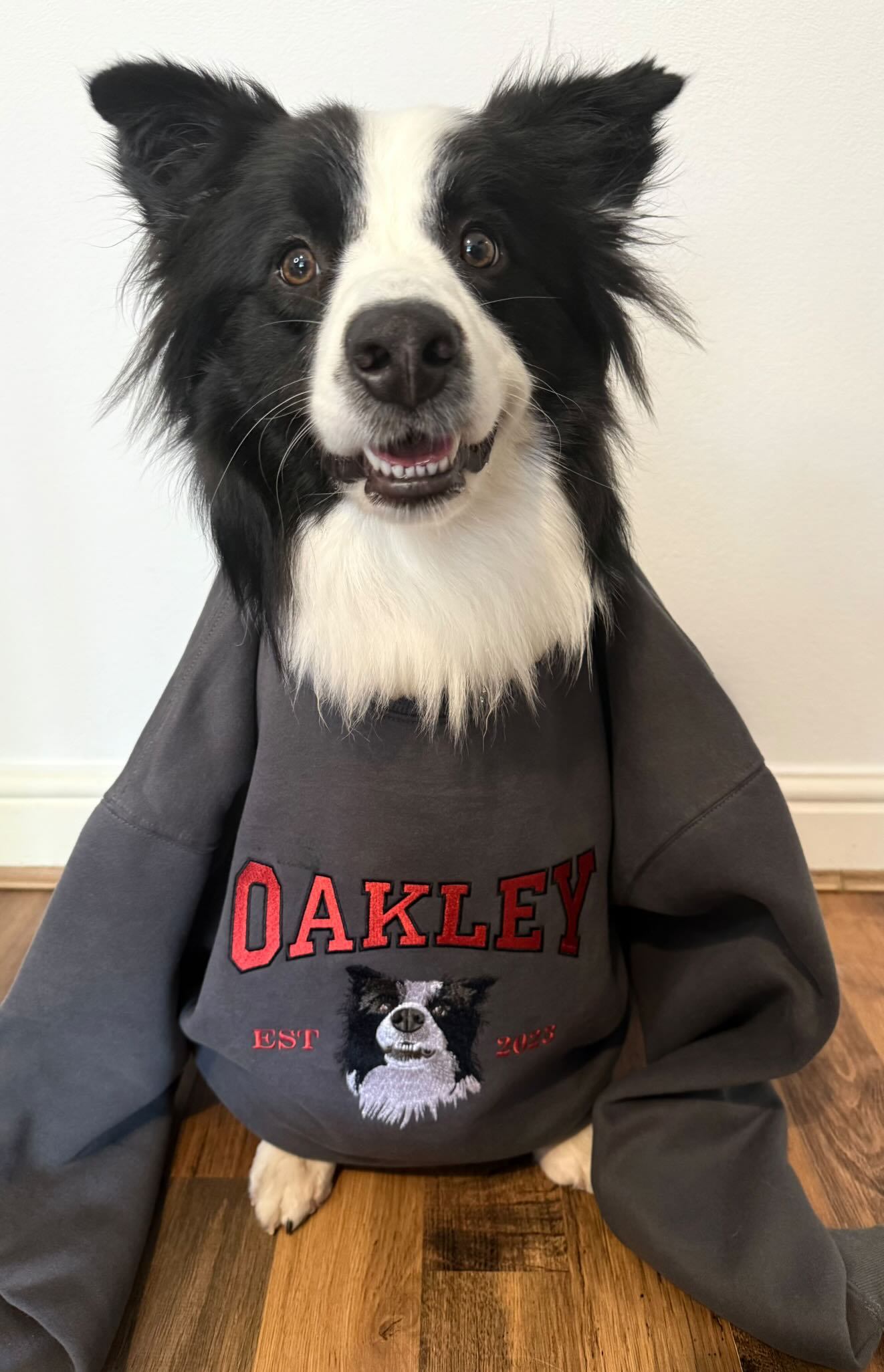 🔥Hot Sale🔥漫画風ペットの肖像画が入ったカスタム刺繍スウェットシャツ